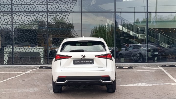 Lexus Nx Business 2019
