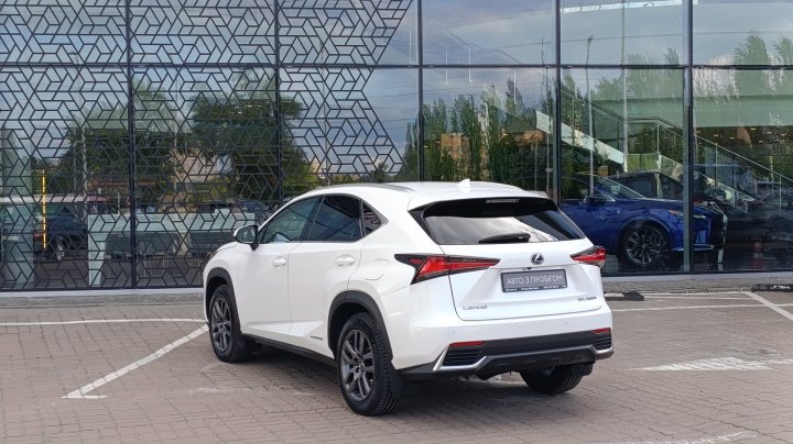 Lexus Nx Executive + 2019
