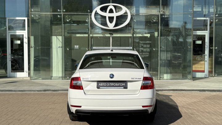 Skoda Octavia Live 2019